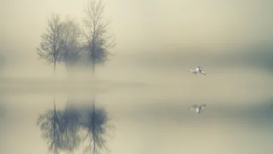 Die stille Kraft der Stablecoins im Krypto-Markt