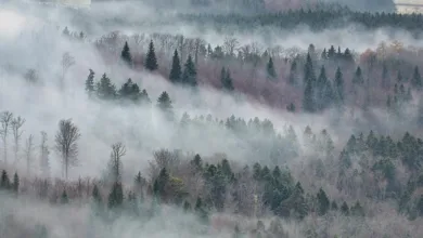 Winter Games Festival Series: Pokeraction für alle!