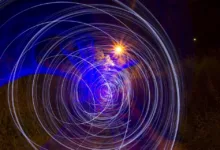 Verwirrung um Bitcoin-Whales: Neue Analysen enthüllen Wahrheit