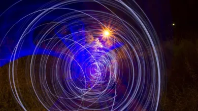 Verwirrung um Bitcoin-Whales: Neue Analysen enthüllen Wahrheit