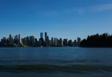 Morgan Stanleys Bitcoin ETF: Chancen und Herausforderungen für Startups