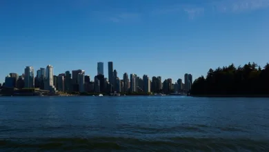 Morgan Stanleys Bitcoin ETF: Chancen und Herausforderungen für Startups