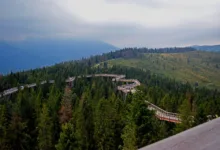 XRP und DCRMining: Zukunft des Cloud-Minings in der Region