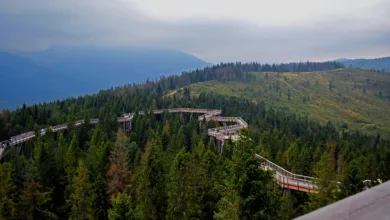 XRP und DCRMining: Zukunft des Cloud-Minings in der Region