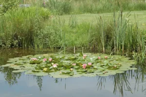 DZ Bank launcht eigene Krypto-Plattform für Anleger in der Region