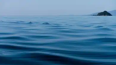 Bitcoin unter Druck: Risiken und Ruhe vor dem Sturm