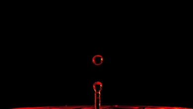 Cardano: Strategische Initiative für DeFi und neues Jahr