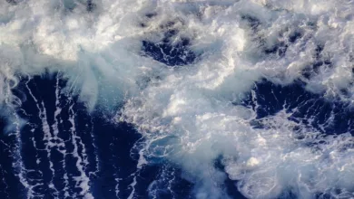 Krypto-Markt in Unruhe: Spot-Bitcoin-ETFs weiter im Rückzug