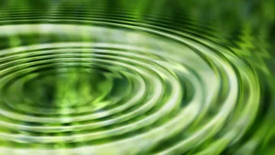 Ripple erhält vorläufige EMI-Lizenz: Ein Schritt zur EU-Zulassung