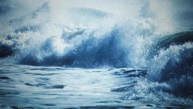 COSMICUSD: Stabilität in einem turbulenten Kryptomarkt