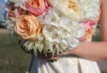 David Sacks: Wegweiser für Klarheit im US-Krypto-Markt