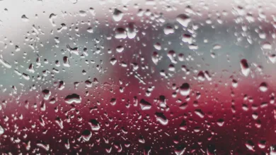 Krypto-Markt reagiert gelassen auf US-Arbeitsmarktdaten