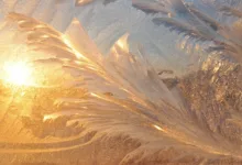 Tether friert 180 Millionen USDT ein: Ein Blick hinter die Kulissen