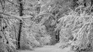 Wichtige Markup-Sitzung zur Krypto-Regulierung am 15. Januar