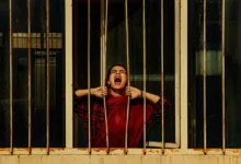 Irans Zentralbank und der geheime Kauf von Stablecoins