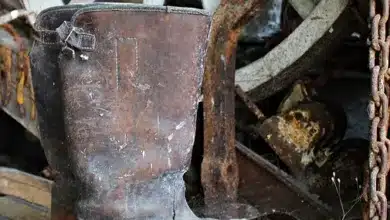 Bitcoin-Risiken: Schwankungen trotz stabiler Preise am 19. Januar