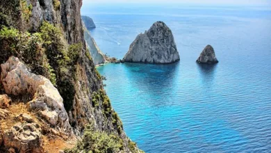 XRP-Kursverfall: Ursachen und Ausblick auf die Zukunft