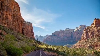 Kryptowährungsbetrug in den USA erreicht 16 Milliarden Dollar