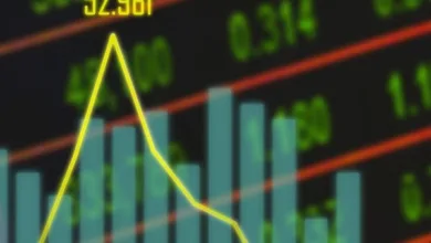 XRP im Fokus: Chancen und Risiken im Krypto-Markt