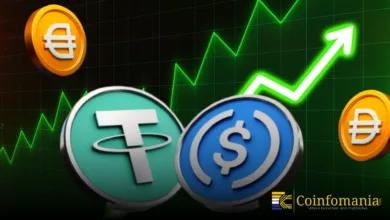 Krypto-Märkte: Stabilität durch steigende Stablecoin-Zuflüsse