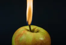 Krypto-Verbot im OpenClaw Discord aus Schutz vor Betrug