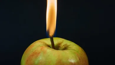 Krypto-Verbot im OpenClaw Discord aus Schutz vor Betrug