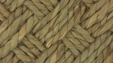 Revolution im Insolvenzrecht: Krypto als pfändbare Assets