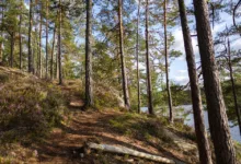 Bitcoin an der Weggabelung: Aufbruch oder Rückschlag?