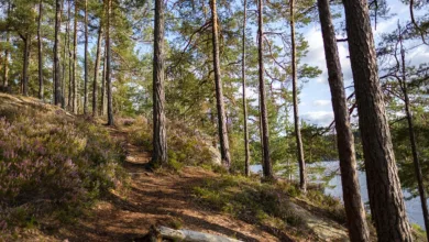 Bitcoin an der Weggabelung: Aufbruch oder Rückschlag?