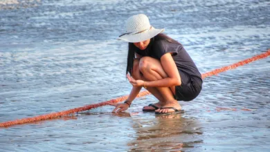 XRP im Fokus: Vor dem nächsten Aufschwung oder Stagnation?