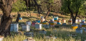 HIVE Digital Technologies: Investieren oder Abwarten?