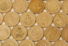 XRP im Fokus: Regulierung, Chancen und Risiken für Anleger