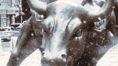 Bitcoin im Blick: Volatilität und Chancen für Anleger