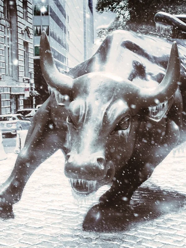 Bitcoin im Blick: Volatilität und Chancen für Anleger