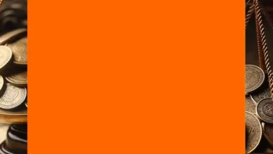 Fiserv startet INDX: Echtzeit-Zahlungen für Digital-Assets