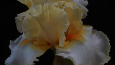 Volatilität auf dem Kryptomarkt: Wachsende Unsicherheiten