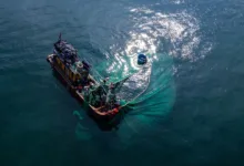 Solana-Kursanalyse: Droht ein weiterer Rückfall auf 8 USD?