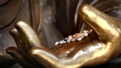 Bitcoin oder Gold: Was die Anleger über die Zukunft sagen