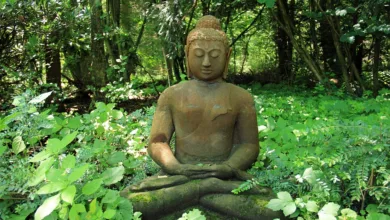 Bitcoin-Kurs: Erholung nach Rückgang und bullischem Signal