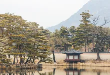 Von Bitcoin zu KI: Alte Minen als neue Hotspots für Innovation