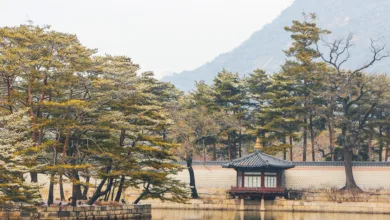 Von Bitcoin zu KI: Alte Minen als neue Hotspots für Innovation