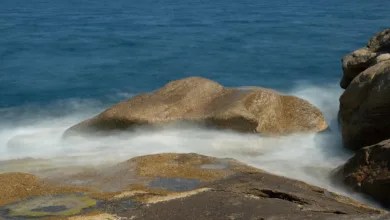 Eric Trump: Bitcoin erreicht langfristig eine Million Dollar