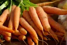 Bitcoin über 68.000 $: Markt bleibt in extremer Angst