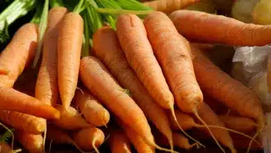 Bitcoin über 68.000 $: Markt bleibt in extremer Angst