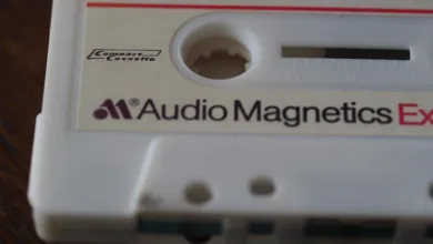 Altcoins im Aufwind: Chancen für neue Rekorde im Februar 2026