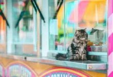 Kryptowährungen im Sinkflug: Markt wird zunehmend nervös