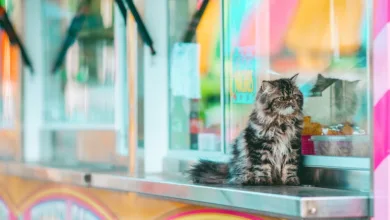 Kryptowährungen im Sinkflug: Markt wird zunehmend nervös