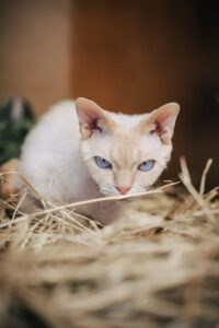 Aktienmärkte im Aufschwung: KI und Unternehmensgewinne im Fokus