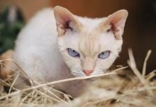 Aktienmärkte im Aufschwung: KI und Unternehmensgewinne im Fokus