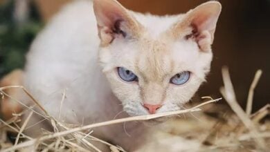 Aktienmärkte im Aufschwung: KI und Unternehmensgewinne im Fokus